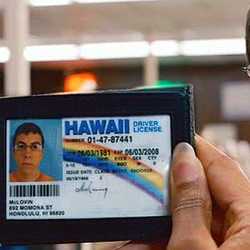 fake id mclovin