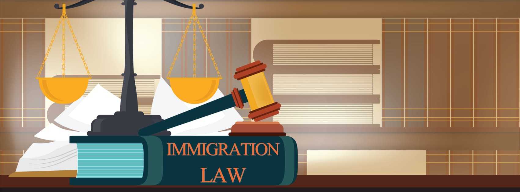 immigration law cover